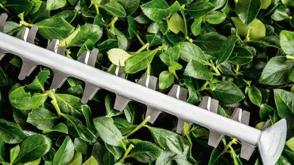 Bosch hobby universalhedgecut 50 tagliasiepi elettrico 480 w con lama 50 cm 06008c0501 - dettaglio 3
