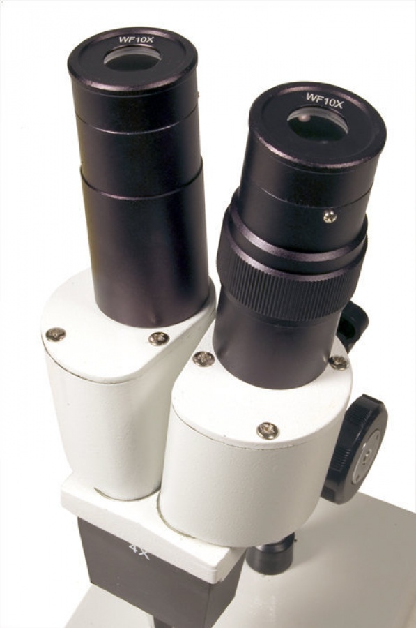 Levenhuk 2st microscopio binoculare 35322 - dettaglio 4