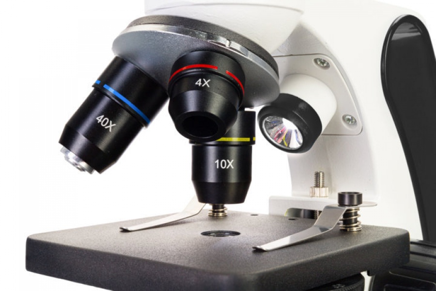 Discovery pico polar microscopio digitale con libro 79260 - dettaglio 8