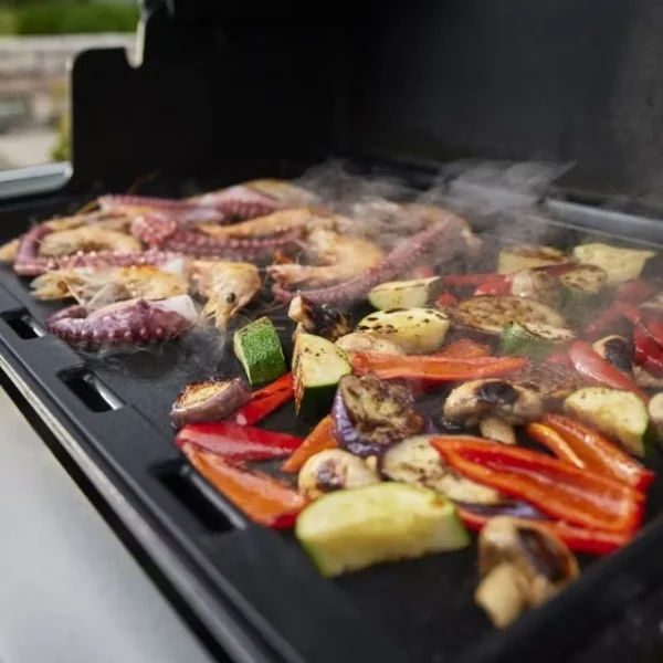 Weber summit fs38 s barbecue a gas 1500111 - dettaglio 7