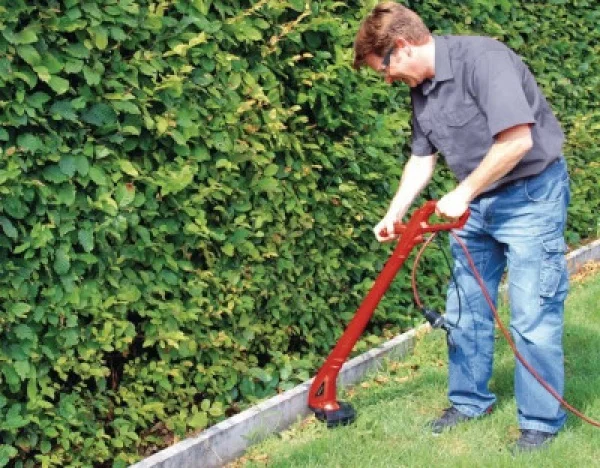 Einhell gc-et 2522 tagliabordi 22 cm elettrico 250 w 3402040 - dettaglio 2