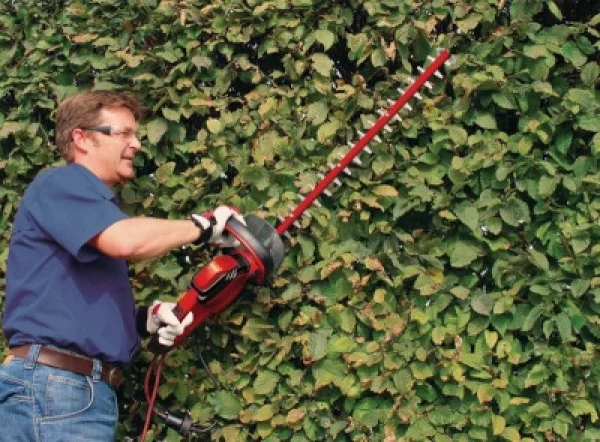 Einhell ge-eh 6560 tagliasiepi elettrico 650 w da 60 cm - dettaglio 2