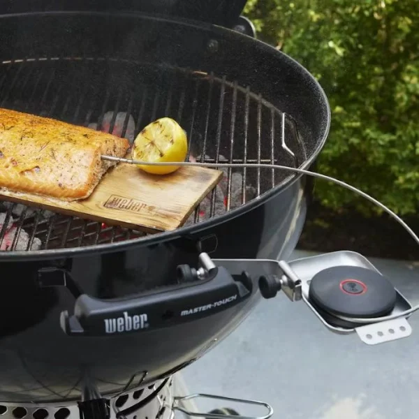 Weber sonda smart con sensore per griglia 3400590 - dettaglio 5