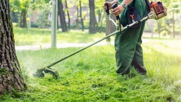 brush cutter image makita