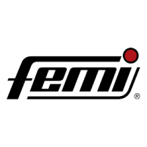 Logo Femi