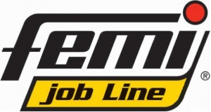 Logo Femi job line